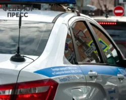 Подросток в ТЦ на Ореховом бульваре защищает охранника и полицию podrostok v tcz na orehovom bulvare zashhishhaet ohrannika i policziyu-signaldaily-ru-0