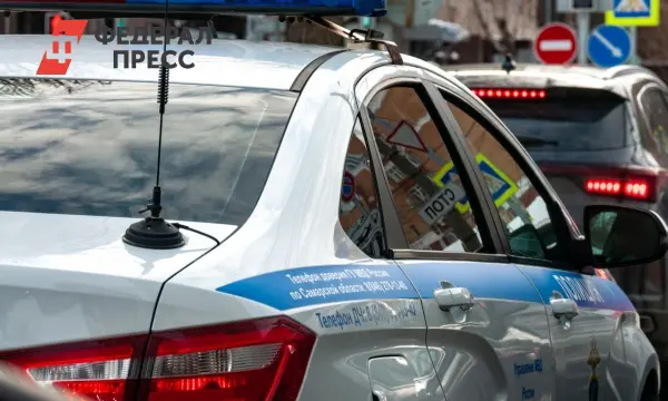 Подросток в ТЦ на Ореховом бульваре защищает охранника и полицию-0