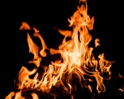 Поджог в Москве привел к уничтожению семи автомобилей и двух мотоциклов podzhog v moskve privel k unichtozheniyu semi avtomobilej i dvuh motocziklov-signaldaily-ru-0