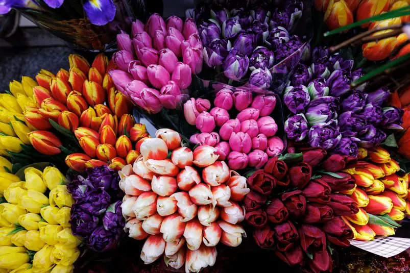 Фото: primamedia.ru