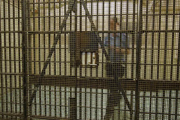 Вводная картинка