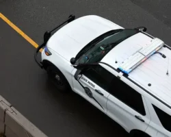 Ричард Фергюсон о трагической судьбе семьи Тринидад Эрнандес и надежде richard fergyuson o tragicheskoj sudbe semi trinidad ernandes i nadezhde-signaldaily-ru-0