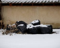 Суд и экология: дело Сергея Майзеля о восстановлении природы rosprirodnadzor_signaldaily