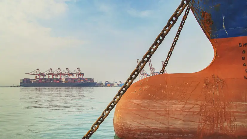 Sky News: судно с уругвайским скотом застряло в море на 55 дней