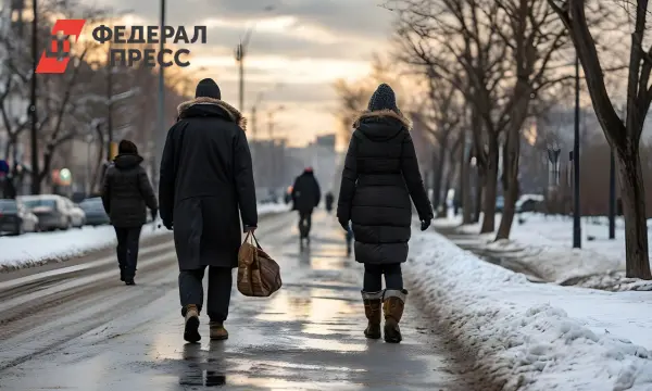 Синоптики обнародовали прогноз о скором первом снеге в Москве-0