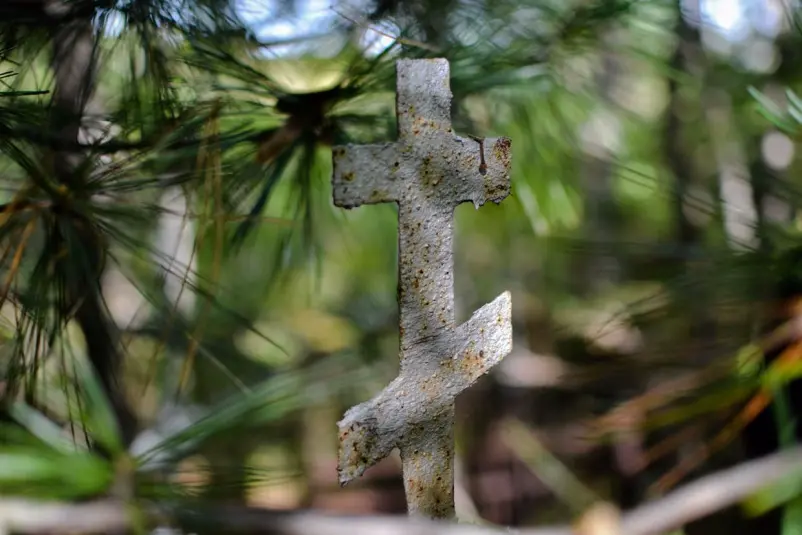 Кладбище ИА PrimaMedia