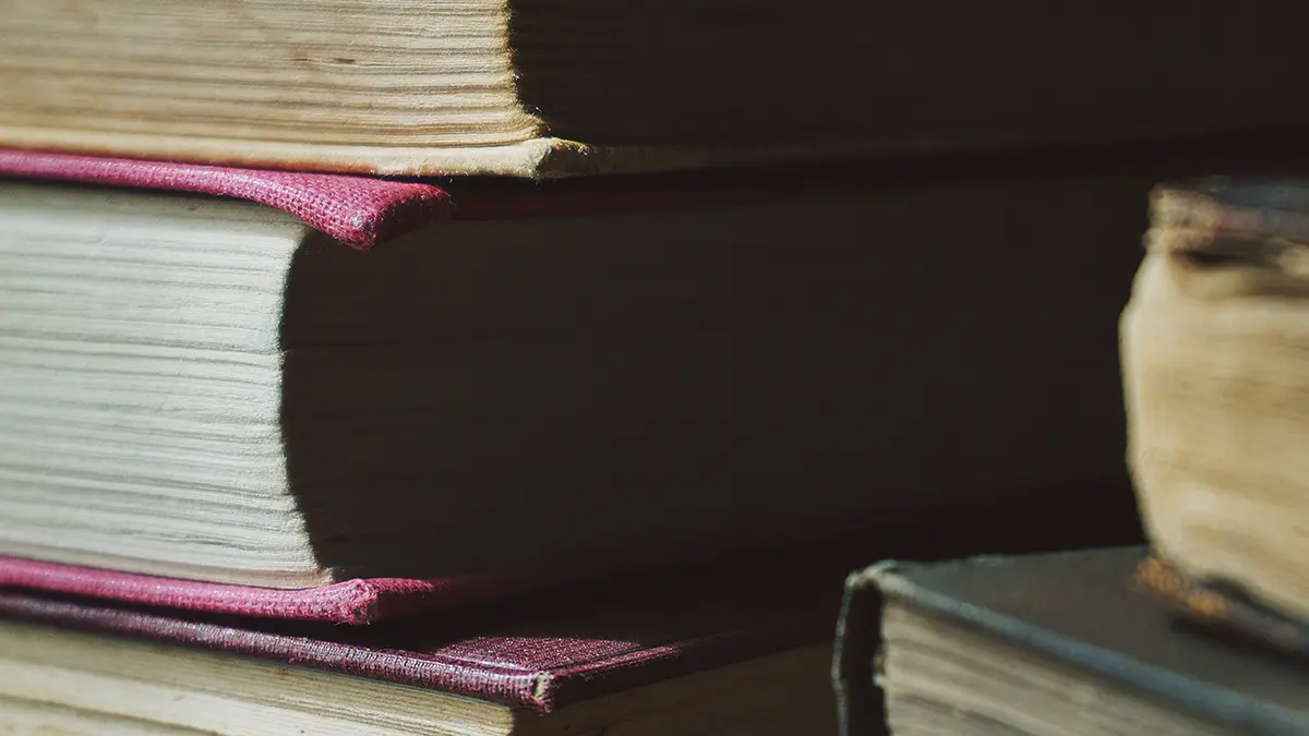 Словарь английского языка Collins назвал слово, определившее 2025 год