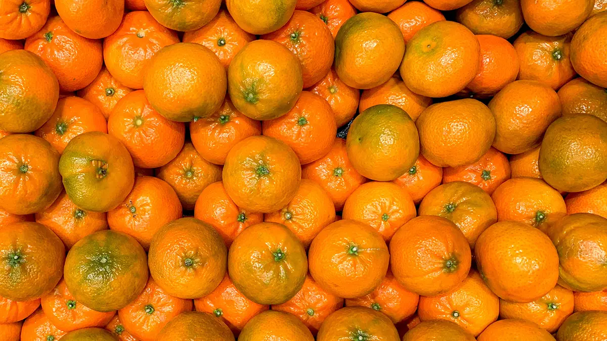 АКОРТ: Мандарины в России подешевели на 25 процентов в 2025 году