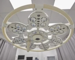 Успешное извлечение птичьей кости командой врачей Дальнегорска для пациента uspeshnoe izvlechenie ptichej kosti komandoj vrachej dalnegorska dlya paczienta-signaldaily-ru-0