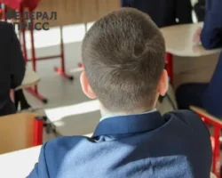 В Ленобласти лидерами среди школ стали Гатчинская гимназия Ушинского и Киришский лицей v lenoblasti liderami sredi shkol stali gatchinskaya gimnaziya ushinskogo i kirishskij liczej-signaldaily-ru-0