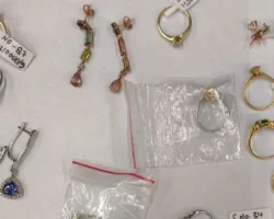 v sheremetevo fts rossii zaderzhala inostrancza iz indii s yuvelirkoj na milliony-signaldaily-ru-0