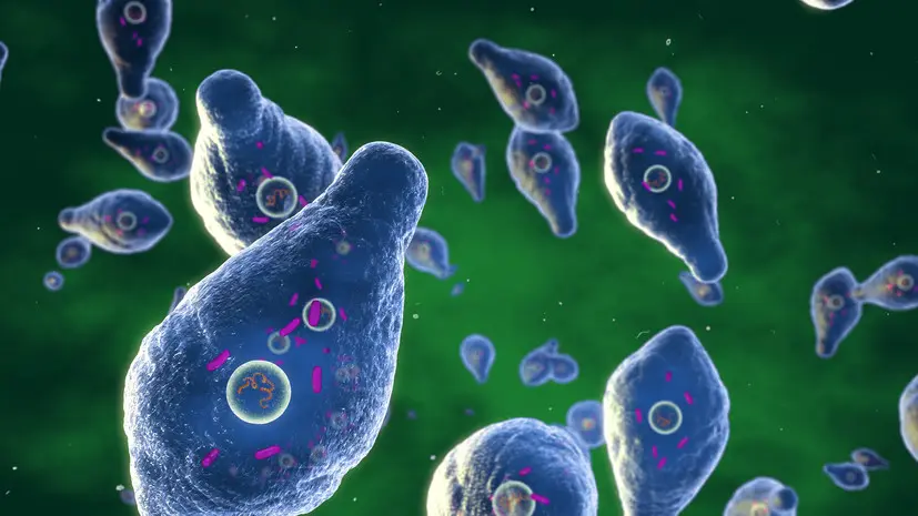 Инфекционист Жемчугов: ботулизм вызывают анаэробный микроб и его токсин