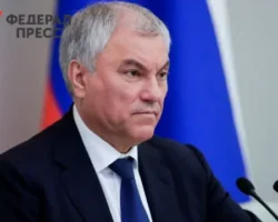 Вячеслав Володин представил сервис контроля SIM-карт на Госуслугах для безопасной связи vyacheslav volodin predstavil servis kontrolya kart na gosuslugah dlya bezopasnoj svyazi-signaldaily-ru-0