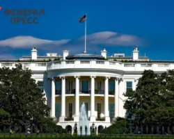 zelenskij i tramp okazyvayutsya pod davleniem v politike ssha i ukrainy-signaldaily-ru-0