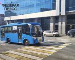 Администрация Владивостока заботится о безопасности и комфорте горожан в Новый год administracziya vladivostoka zabotitsya o bezopasnosti i komforte gorozhan v novyj god-signaldaily-ru-0