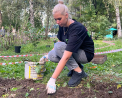 Волонтеры Алексея Вихарева преображают парк aleksei viharev sensorni sad_signaldaily