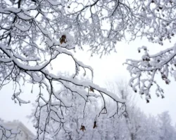 Гидрометцентр РФ ожидает увеличение снежного покрова в Москве на 4 см gidrometczentr rf ozhidaet uvelichenie snezhnogo pokrova v moskve na 4 sm-signaldaily-ru-0