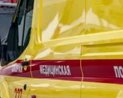 Госавтоинспекция сообщает о ДТП с MAN и «Окой» в Красноярском крае gosavtoinspekcziya soobshhaet o dtp s i okoj v krasnoyarskom krae-signaldaily-ru-0