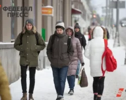 Игорь Балынин из Финуниверситета рассказывает о возможностях самозанятых igor balynin iz finuniversiteta rasskazyvaet o vozmozhnostyah samozanyatyh-signaldaily-ru-0