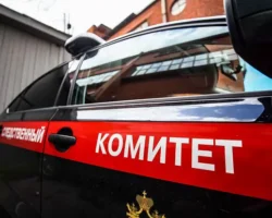 Инцидент с иностранцем в ресторане на Авиационной находится под контролем комитета inczident s inostranczem v restorane na aviaczionnoj nahoditsya pod kontrolem komiteta-signaldaily-ru-0