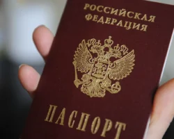 Как оформить ИД ЕРН в паспорте и советы Каплана Панеша по этому вопросу kak oformit id ern v pasporte i sovety kaplana panesha po etomu voprosu-signaldaily-ru-0