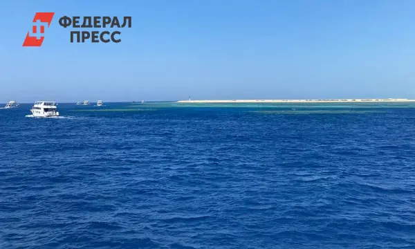 Как россияне на Гоа защищаются от тигровых комаров и вирусов Денге-0