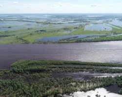 МГУ создал крупнейшую базу NERM по динамике берегов рек и эрозии в Северной Евразии mgu sozdal krupnejshuyu bazu po dinamike beregov rek i erozii v severnoj evrazii-signaldaily-ru-0