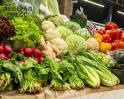 minpromtorg i fas usilivayut kontrol nad czenami na produkty v torgovyh setyah-signaldaily-ru-0