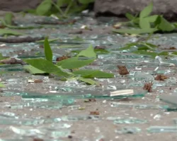 Новости из Ханты-Мансийска, Дагестана и Балашихи о событиях на АЗС novosti iz hantymansijska dagestana i balashihi o sobytiyah na azs-signaldaily-ru-0