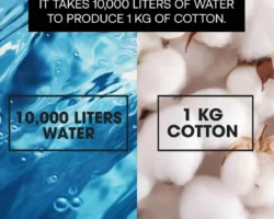 Почему хлопок, модные бренды и Water Footprint Network формируют новое будущее pochemu hlopok modnye brendy i formiruyut novoe budushhee-signaldaily-ru-0