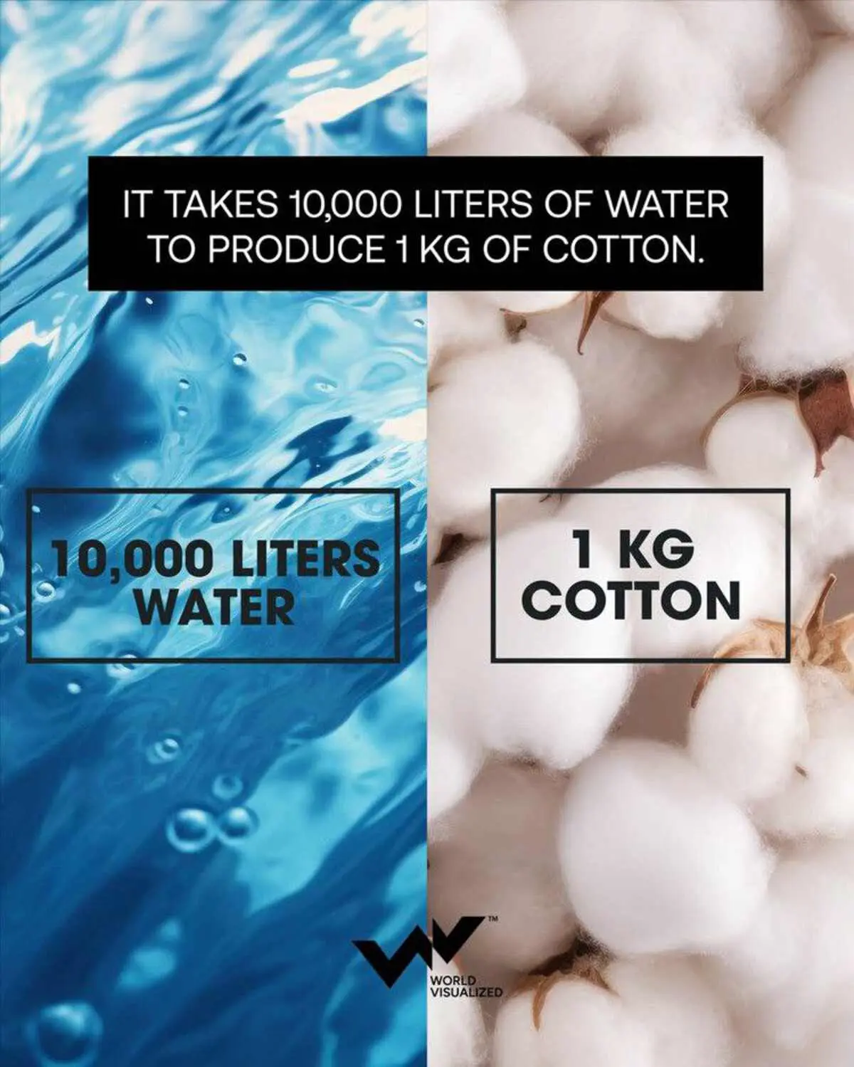 Почему хлопок, модные бренды и Water Footprint Network формируют новое будущее-0