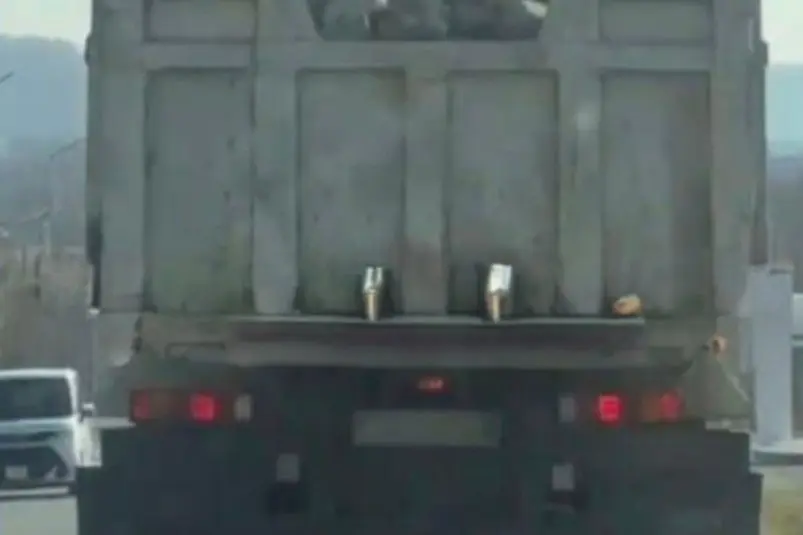 "Пыльный" грузовик в Артёме попал в поле зрения полиции Пресс-служба УМВД России по Приморскому краю