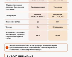 Роспотребнадзор заботится о безопасности граждан в период новогодних праздников rospotrebnadzor zabotitsya o bezopasnosti grazhdan v period novogodnih prazdnikov-signaldaily-ru-0