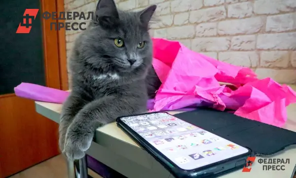 Сергей Глухих получил штраф от ФСБ за экстремистский шеврон в телефоне-0