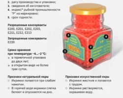 Светлана Ильяшенко из РЭУ им. Г. В. Плеханова о качестве икры и "Честном знаке" svetlana ilyashenko iz reu im g v plehanova o kachestve ikry i chestnom znake-signaldaily-ru-0