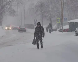 Татьяна Позднякова и Александр Шувалов предсказывают снежную неделю в Москве tatyana pozdnyakova i aleksandr shuvalov predskazyvayut snezhnuyu nedelyu v moskve-signaldaily-ru-0