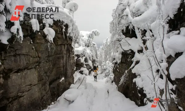 Трагедия на пике Звездный в Красноярском крае оставляет память и надежду-0