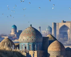 Узбекистан, Мальдивы, Грузия и Марокко вошли в топ новогодних направлений uzbekistan maldivy gruziya i marokko voshli v top novogodnih napravlenij-signaldaily-ru-0