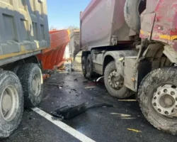 В Надеждинском районе расследуют ДТП с участием FAW и VOLVO FM-TRUCK v nadezhdinskom rajone rassleduyut dtp s uchastiem i -signaldaily-ru-0