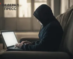 В Петербурге студенту предъявили дело о доверчивой пенсионерке v peterburge studentu predyavili delo o doverchivoj pensionerke-signaldaily-ru-0