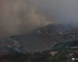 В Владивостоке ликвидируют пожар на полигоне ТБО при контроле прокуратуры v vladivostoke likvidiruyut pozhar na poligone tbo pri kontrole prokuratury-signaldaily-ru-0