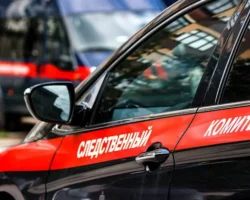 v vyborgskom rajone lenoblasti proizoshlo tragicheskoe chp s kurerom i shkolniczej-signaldaily-ru-0