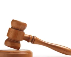 Владелец алабая в Черноярке компенсирует ущерб пенсионерке vladelecz alabaya v chernoyarke kompensiruet ushherb pensionerke-signaldaily-ru-0