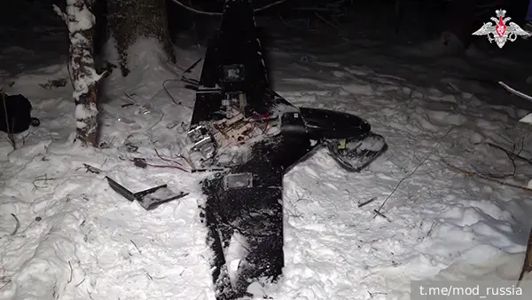 Эксперт оценил данные Минобороны об атаковавших резиденцию Путина дронах ВСУ