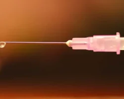 Австрия и Румыния — нападения потрясли общество avstriya i rumyniya napadeniya potryasli obshhestvo-signaldaily-ru-0