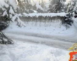 Безопасность детей в Подмосковье: уроки трагедии с Volvo у горки bezopasnost detej v podmoskove uroki tragedii s u gorki-signaldaily-ru-0