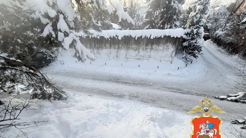 В Подмосковье ребёнок погиб после наезда автомобиля при катании с горки