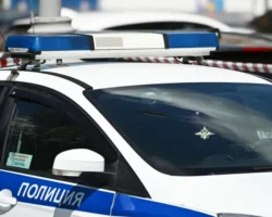 eduard trubchik sk primorya raskryvaet pochti 100 prestuplenij-signaldaily-ru-0