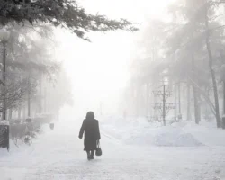 Гидрометцентр предупреждает об аномальных холодах в РФ gidrometczentr preduprezhdaet ob anomalnyh holodah v rf-signaldaily-ru-0