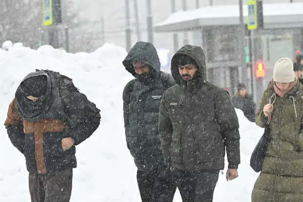 Вводная картинка